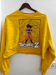 Crop pullover top