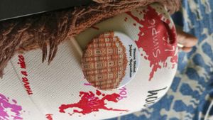 Hawa Mahal Jaipur Fridge Magnet