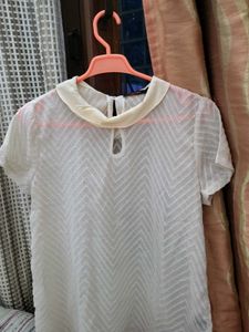 Light Colour Summer Wear