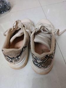 Women Sneaker