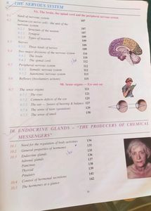 biology book class 10 icse