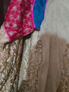 Elegant Ethnic Dress