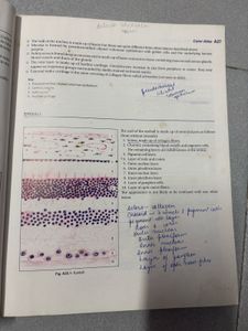 Inderbir Singe’s Textbook Of Human Histology