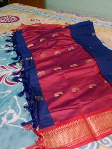 Silk Saree Bulbul