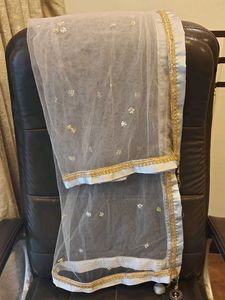 Elegant Net Dupatta