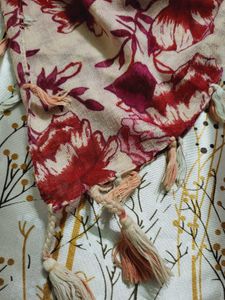 Beautiful Stole For Women 🎨