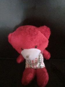 Red Teddy Bear