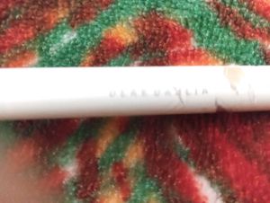 Deardahlia Makeup Brush 🫶🏽