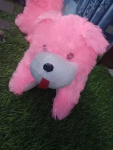 Tommy Soft Toys 🐕🤗