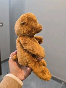 Cute Brown Teddy Bear