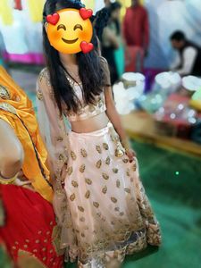 Embroidered Stitched Lehenga Choli (Pitch)