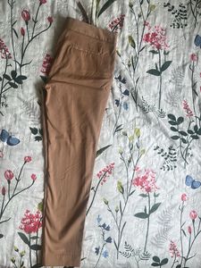 Formal Brown Pant