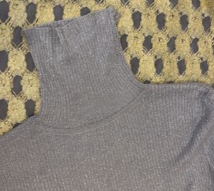 Cute Shimmery Turtle Neck Highly Stretch Skeevey