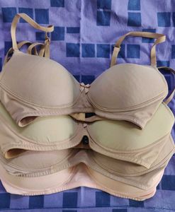 Amante 34C Padded T-shirt Bra