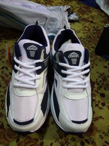 Asian Sneakers - Comfortable &amp; Stylish