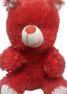 Red Teddy Bear Plush Toy