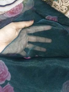 Floral Organza Saree