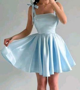 NEW🩵Sky Blue Fit & Flare Dress