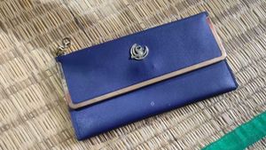 Elegant Blue Wallet