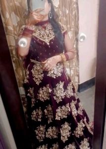 Elegant Ethnic Gown