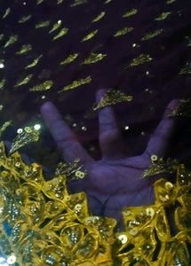 Full Net Heavy Saree