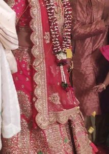 Asopalav Bridal Chaniya Choli Pink