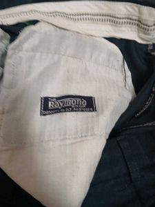 Raymond Pleated Baggy