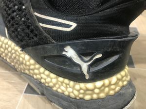 Puma bounce