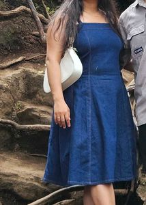 Denim Fit &amp; Flare Dress Savana