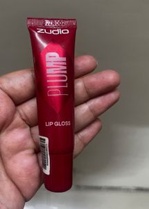 Zudio Plump Lip Gloss