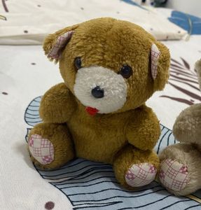 3 Pc Cute Teddies