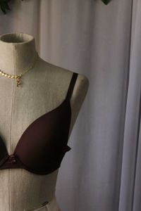 Max Comfy Brown Bra