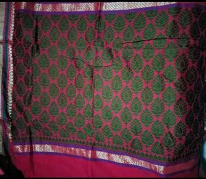 Elegant Ethnic Saree