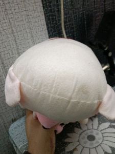 2 In 1 Teddy Bear