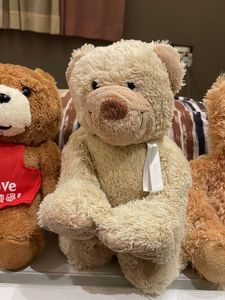 Cute Teddy Bear Trio