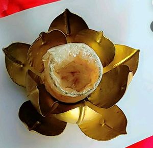 Lotus Candle Holder