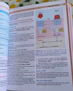 Essentials of Medical Physiology