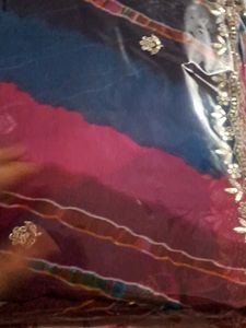 Zari Work Rajputani Saree
