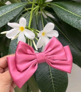 Bows 🎀
