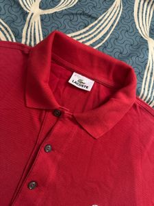 Light Mesh Cotton  Lacoste