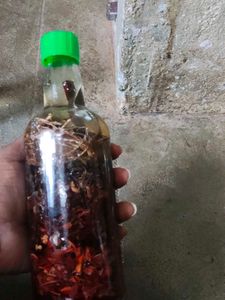 Herbal Hair Oil