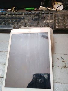 Apple TAB (READ DESCRIPTION)
