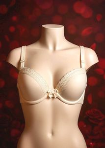 🇳🇿💫♥️ Imported White Lace Trim Heavy Paded Bra