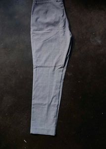 Formal Pant