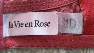 🌸 Pink Lace &amp; Mesh Bra by la Vie en Rose 🌸