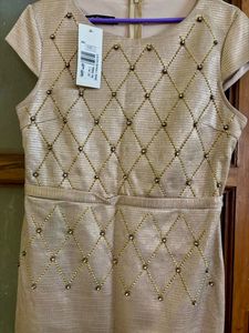 Elegant New Golden Dress