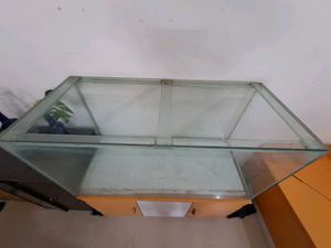 Glass Aquarium With Black Lid