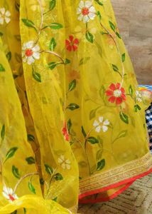 Brand New Organza Saree 10 Years