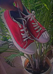 [ Boy / Girl ]red Shoes With Like New Condition 🚨