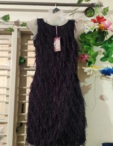 Feathered Party Dress